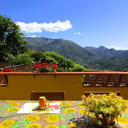 Casina Di Desiree E Aurora Villa Corsanico-Bargecchia Buitenkant foto